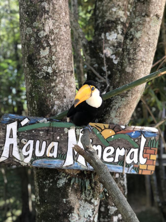 Fazenda Morro Pelado Hotel Águas de Lindóia Kültér fotó